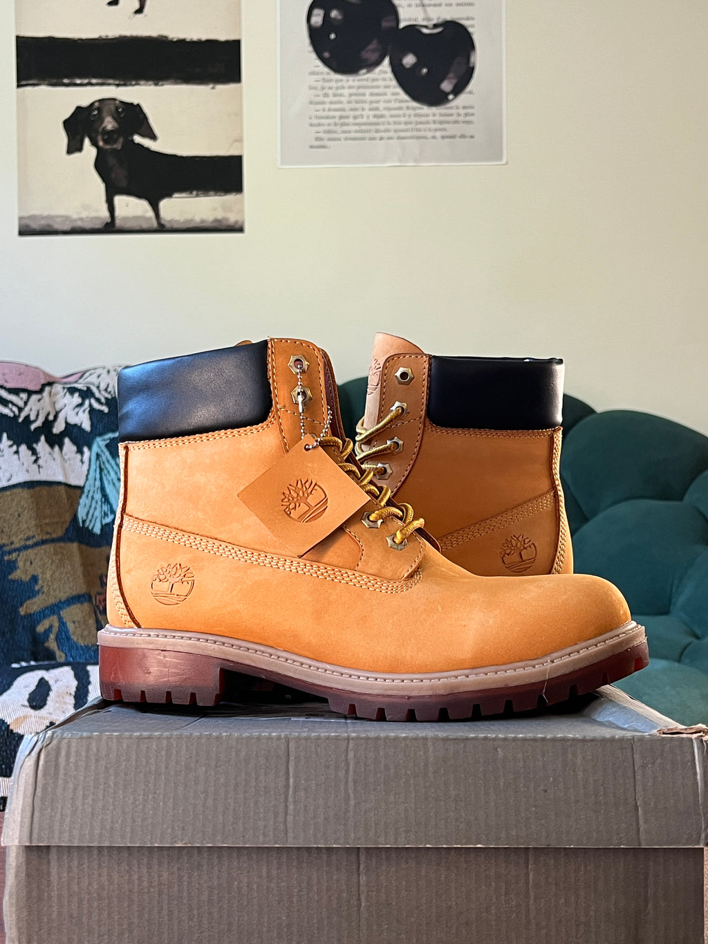 Havan Timbs