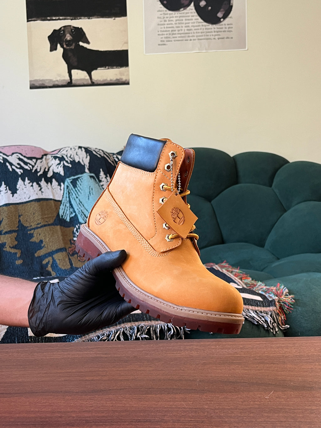 Havan Timbs